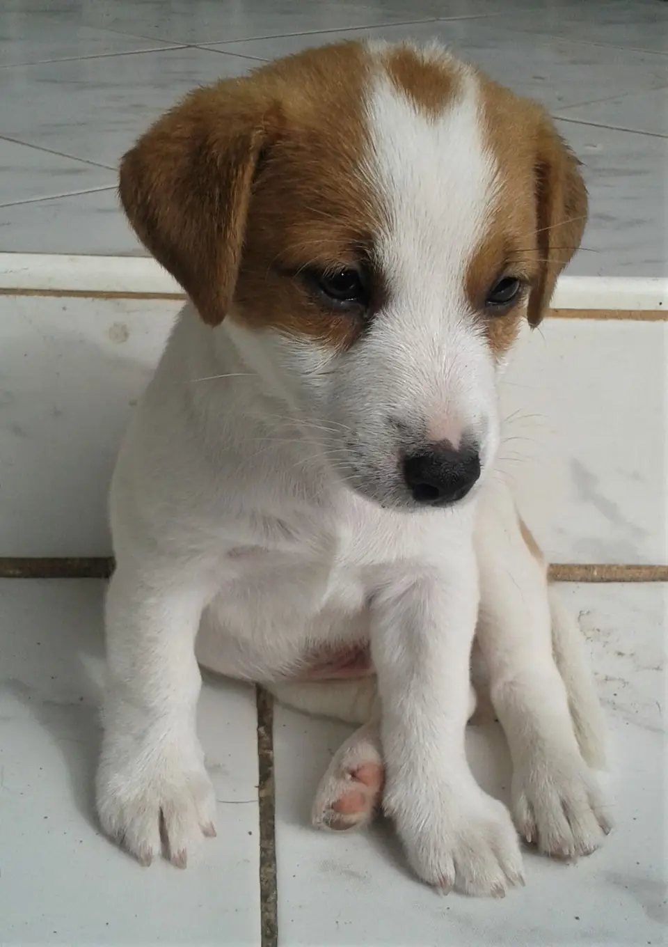 Chili-2.jpg