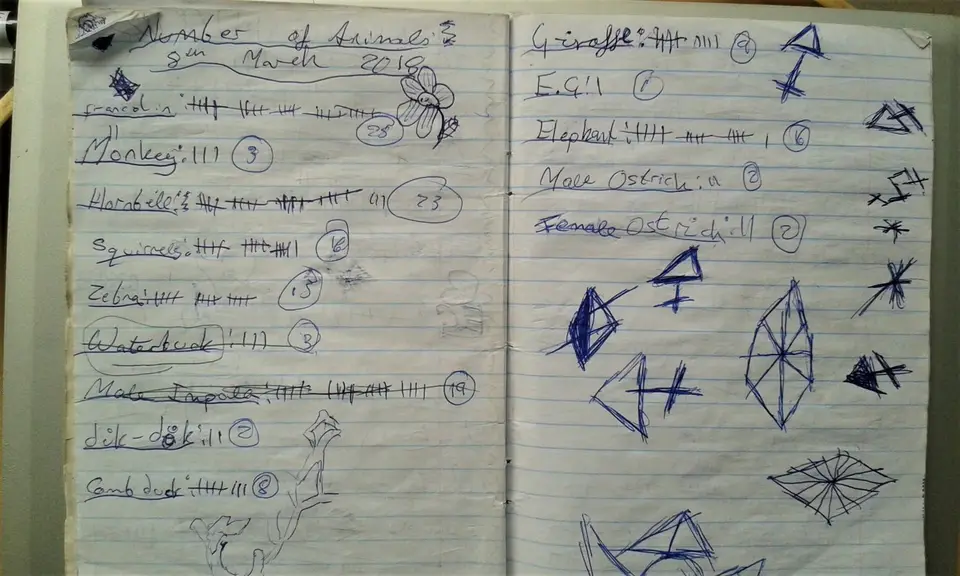 Mankwe-Statistik.jpg