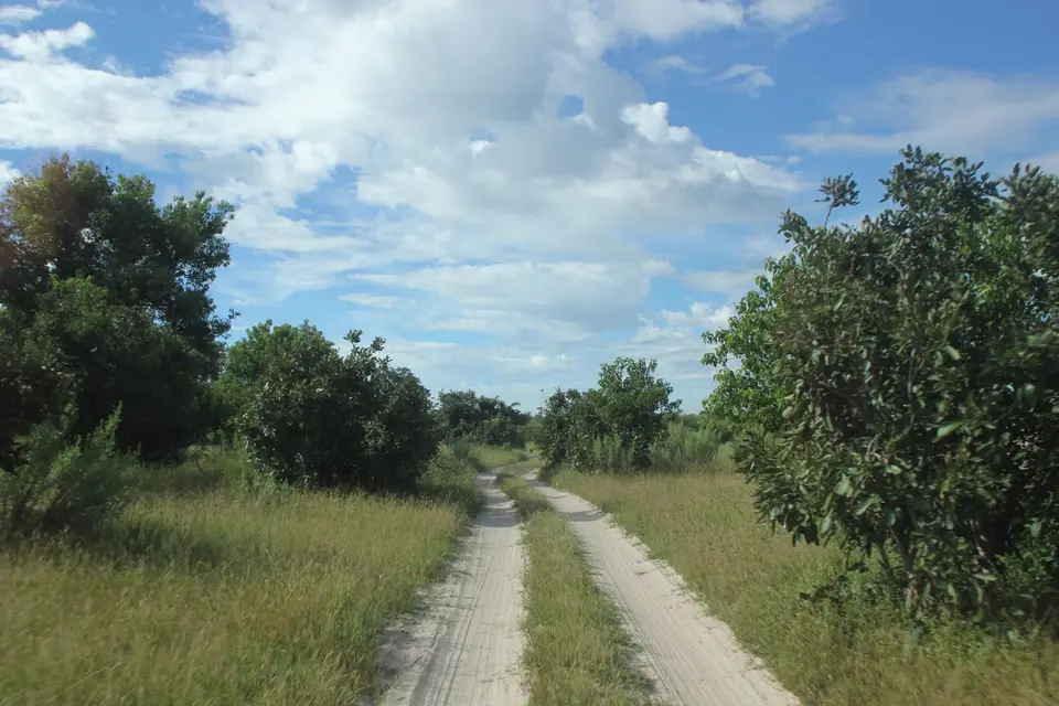 SM-Weg1.jpg