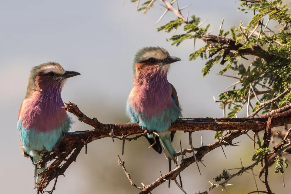_MG_1626.jpg