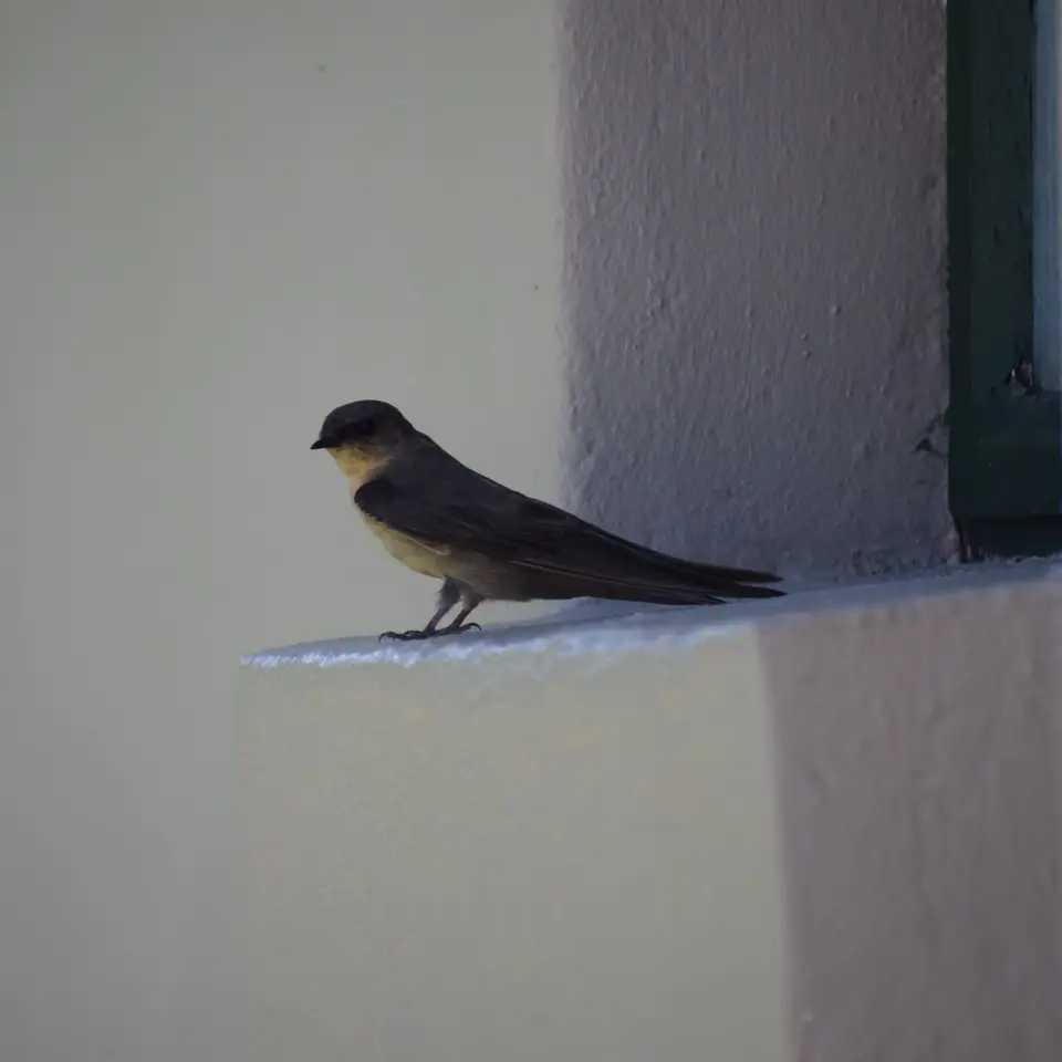 18aDSC_0006.JPG