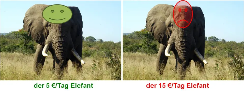 5€Elefant.jpg