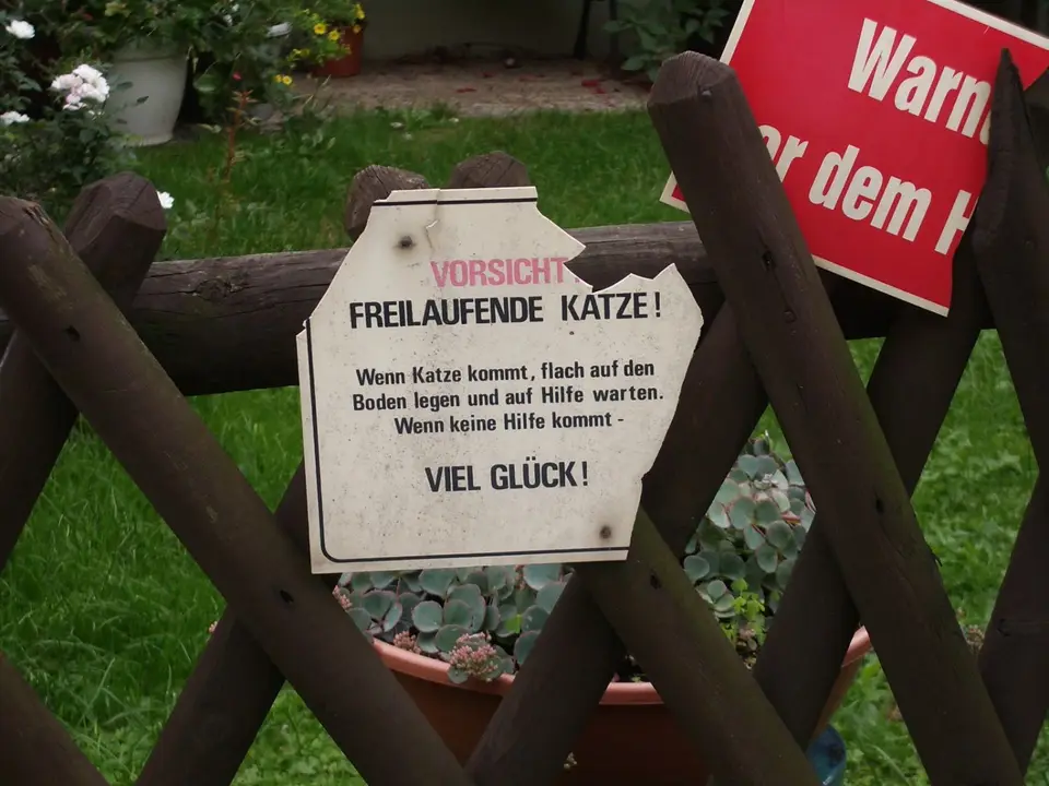 Killerkatzen-2.JPG