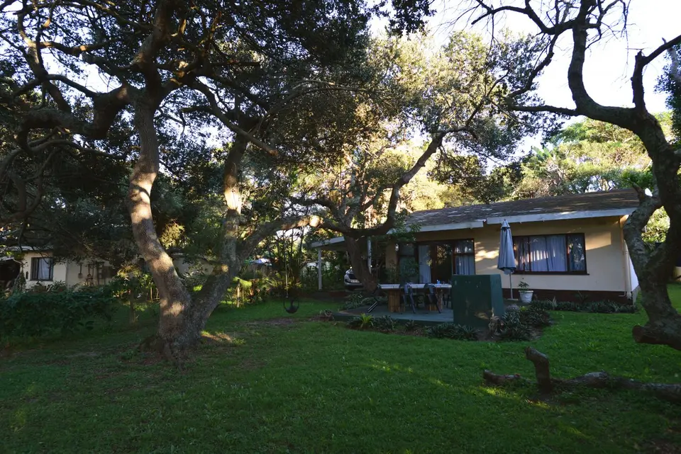 Milkwood.jpg