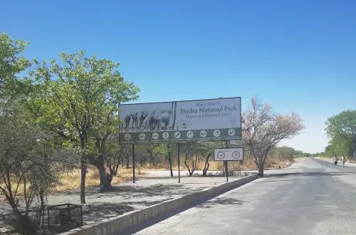 Etosha.jpg