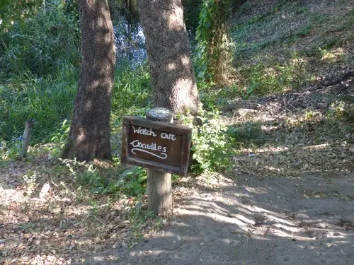 Schild.jpg