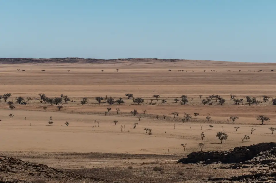 k-NamibiaimFrühjahr2019(170).jpg