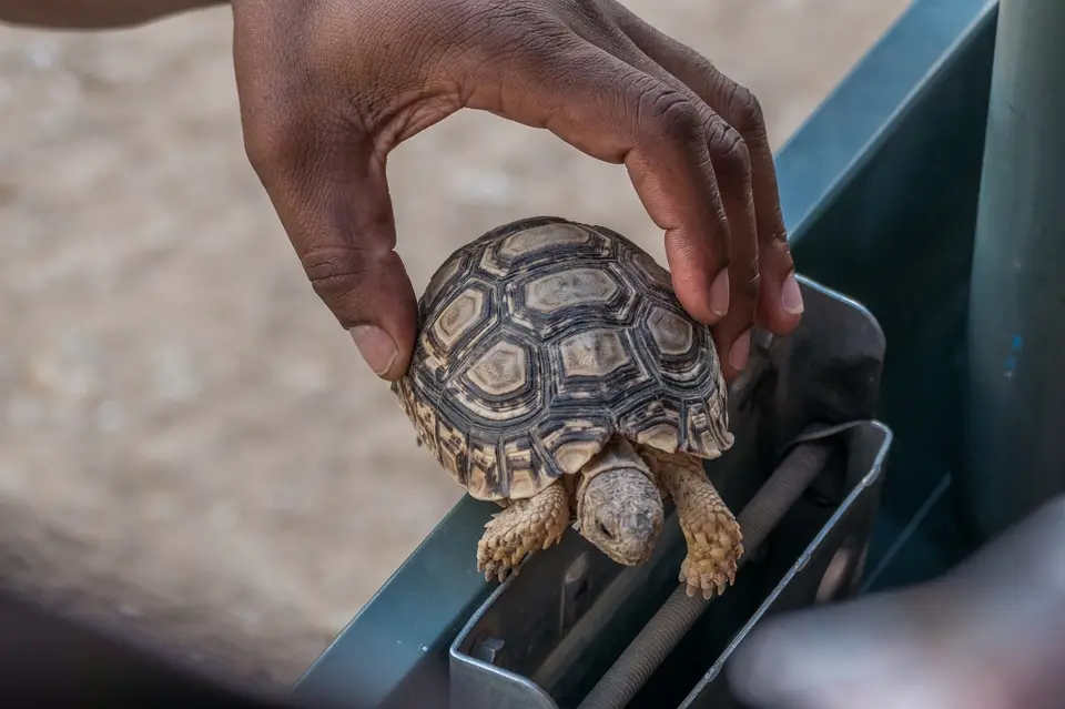 k-NamibiaimFrühjahr2019(318).jpg