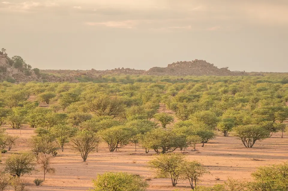 k-NamibiaimFrühjahr2019(366).jpg