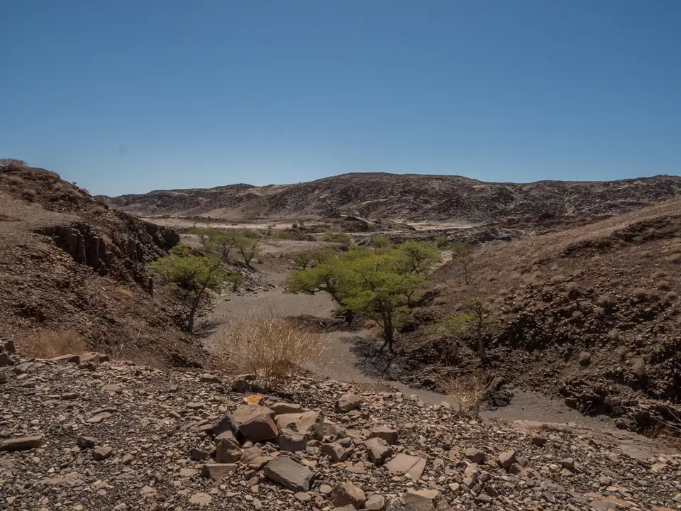 k-NamibiaimFrühjahr2019(410).jpg