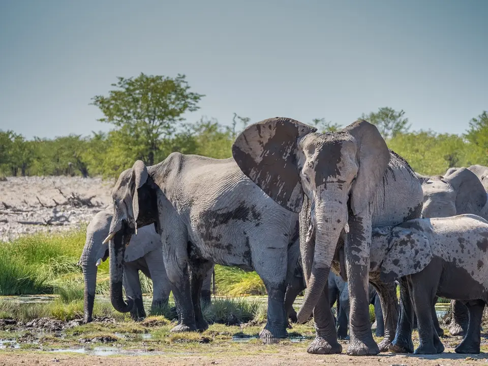 k-NamibiaimFrühjahr2019(512).jpg