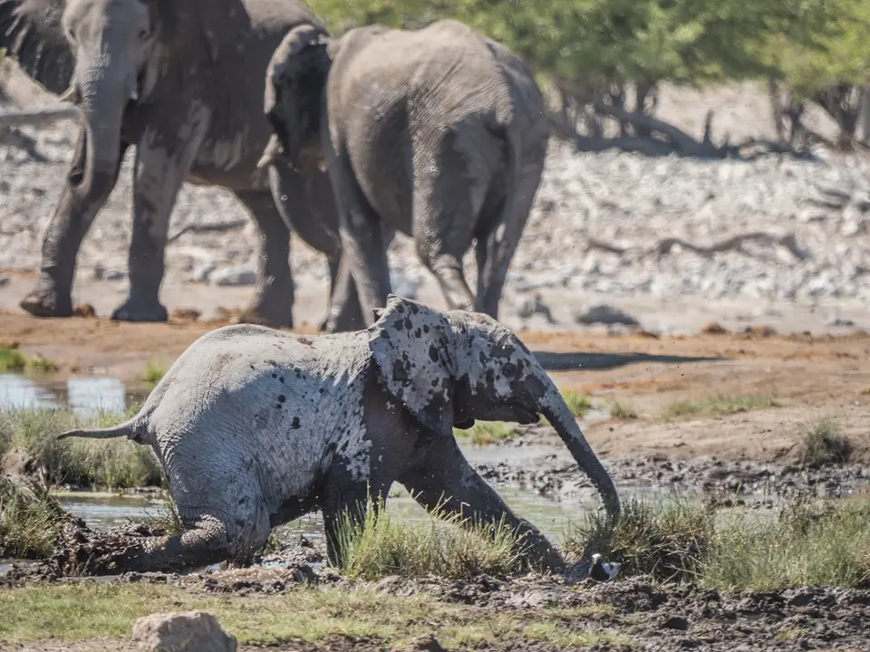 k-NamibiaimFrühjahr2019(514).jpg