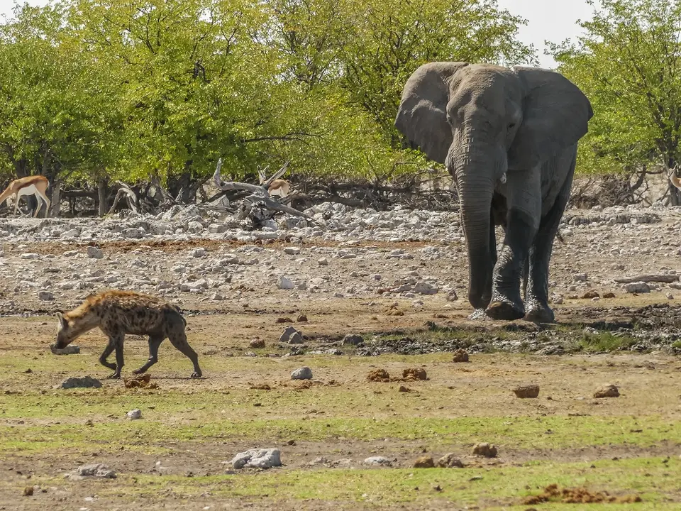 k-NamibiaimFrühjahr2019(522).jpg
