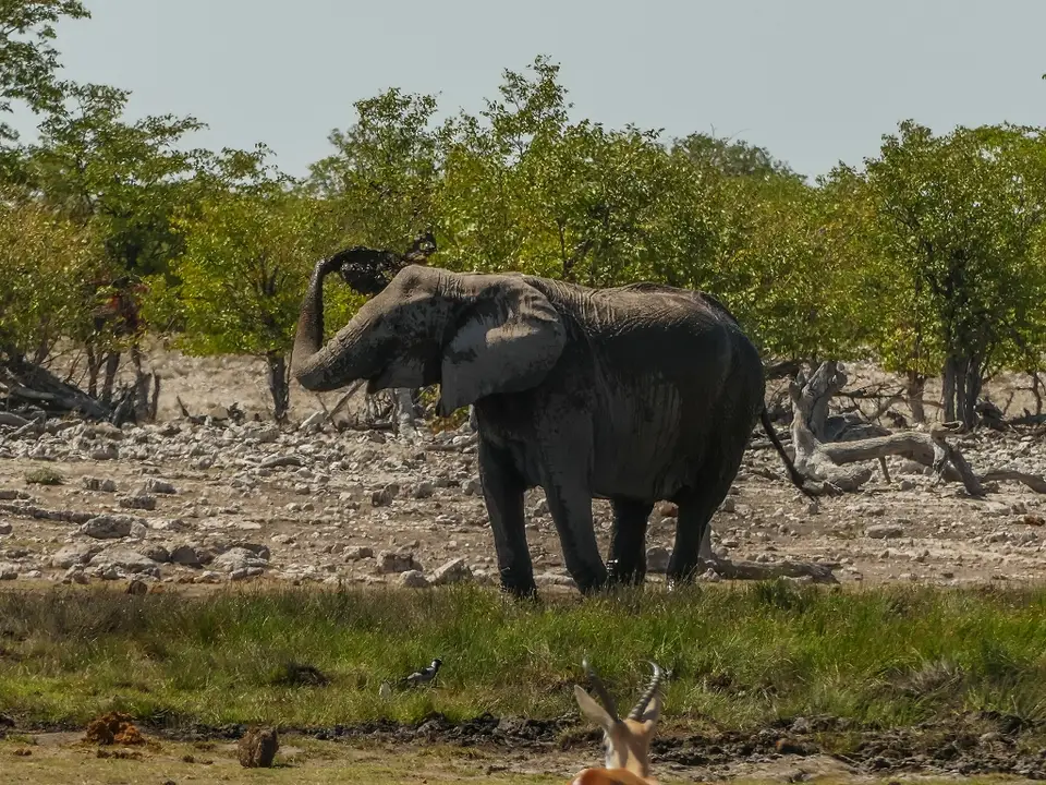 k-NamibiaimFrühjahr2019(527).jpg