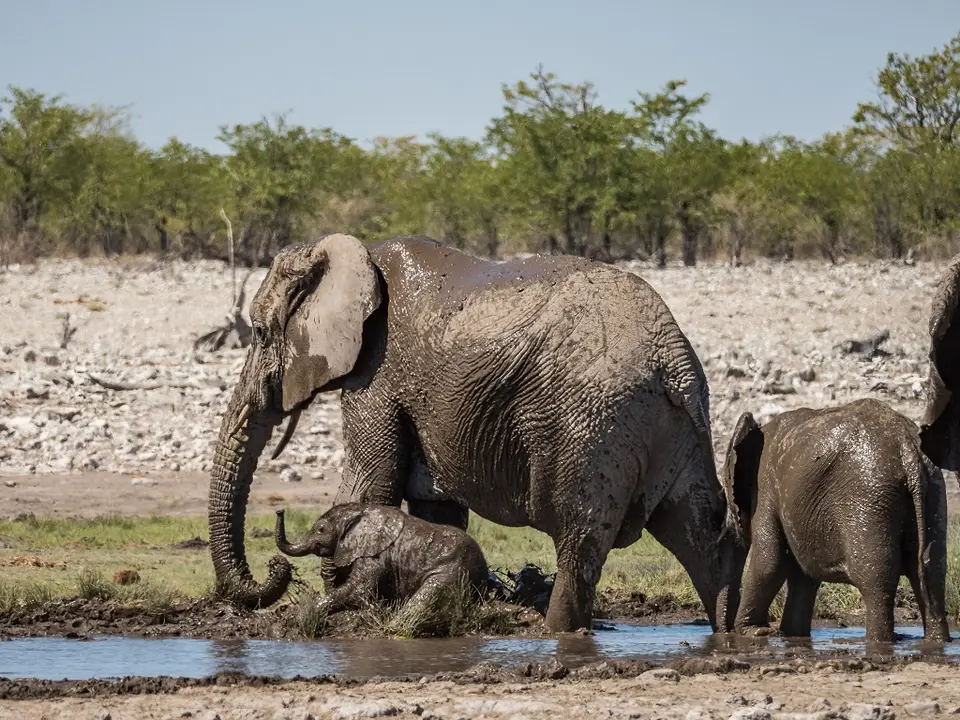 k-NamibiaimFrühjahr2019(536).jpg