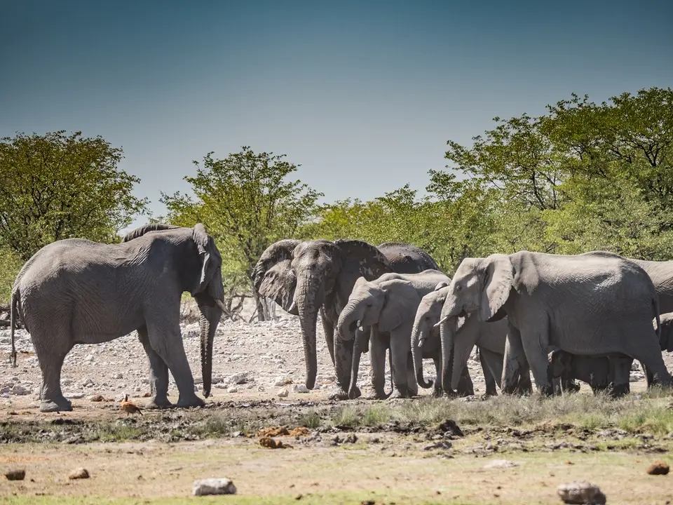 k-NamibiaimFrühjahr2019(539).jpg