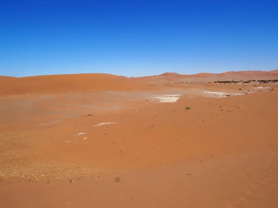 P1010215.jpg