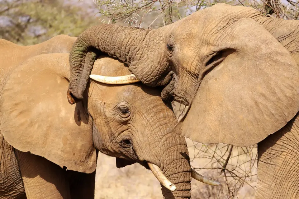 IMG_1624_DxO.jpg