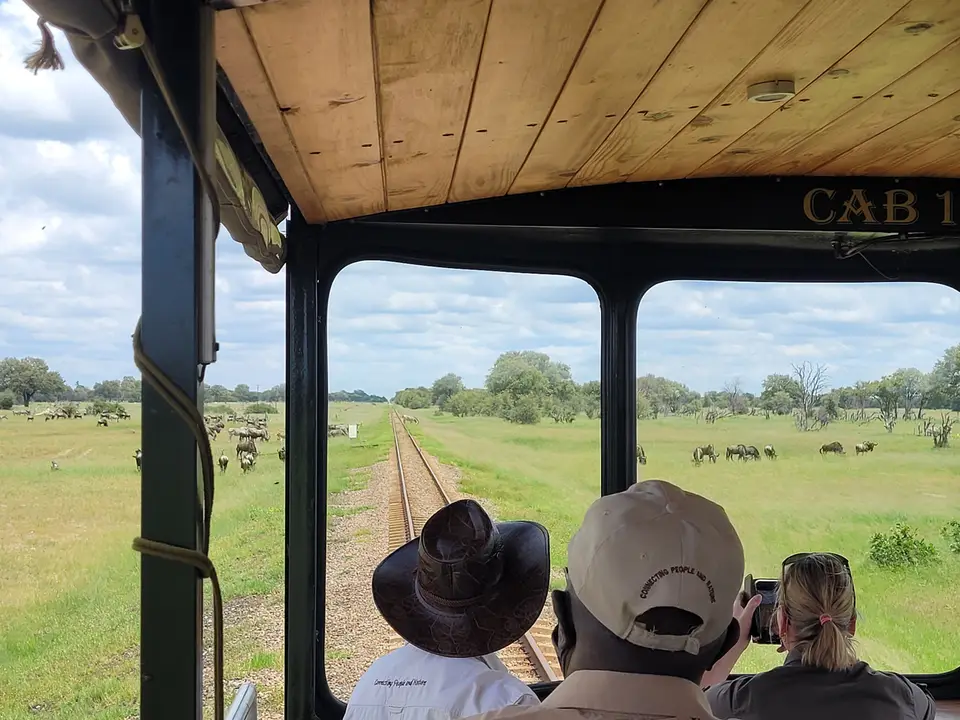 106ElephantExpress.jpg