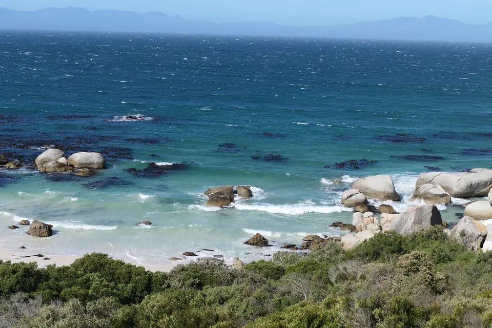10SimonsTown.JPG