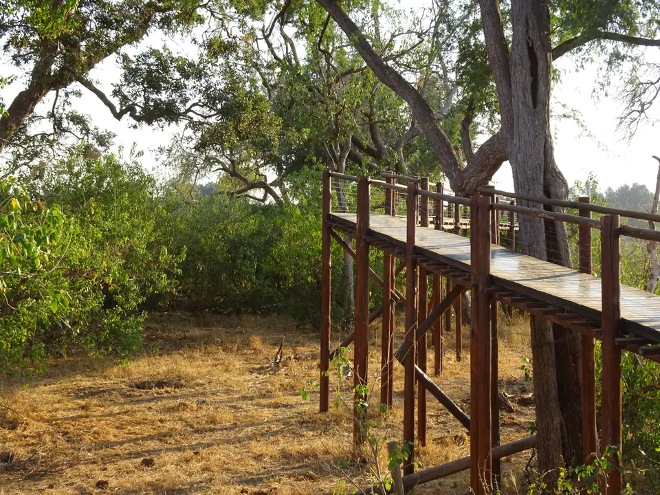 12TreetopWalk.JPG