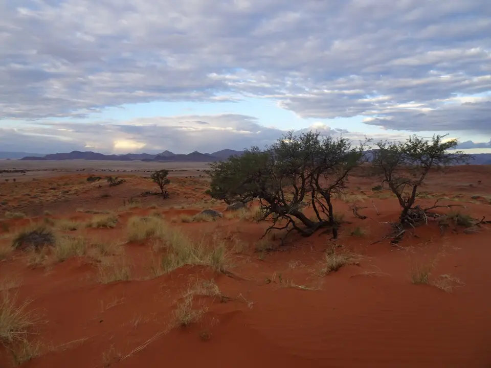 140WanderungDuneStarCamp.JPG