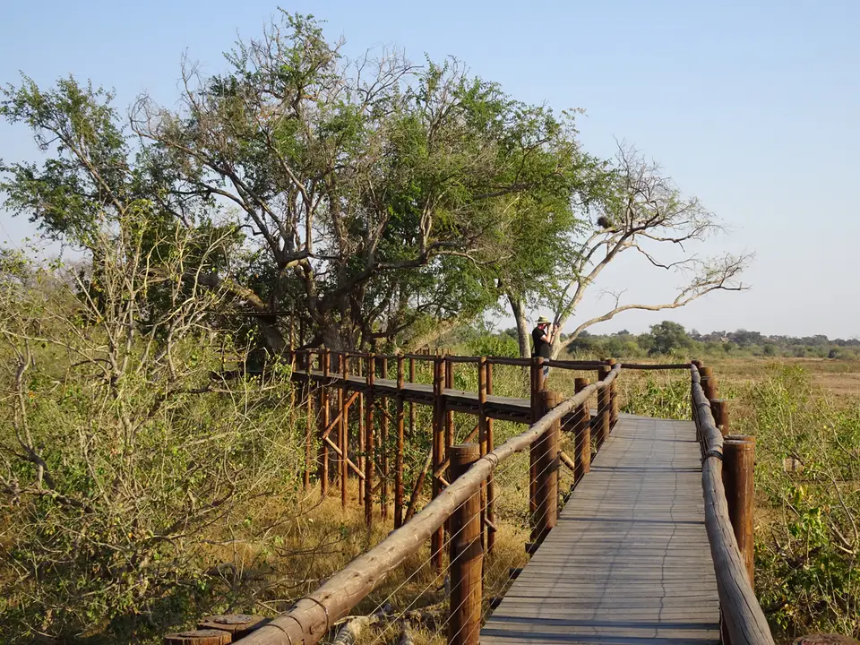 14MapungubweNP-KalahariCalling.jpg