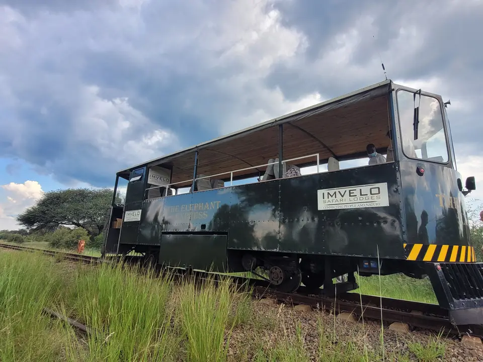 2.1ElephantExpress.jpg