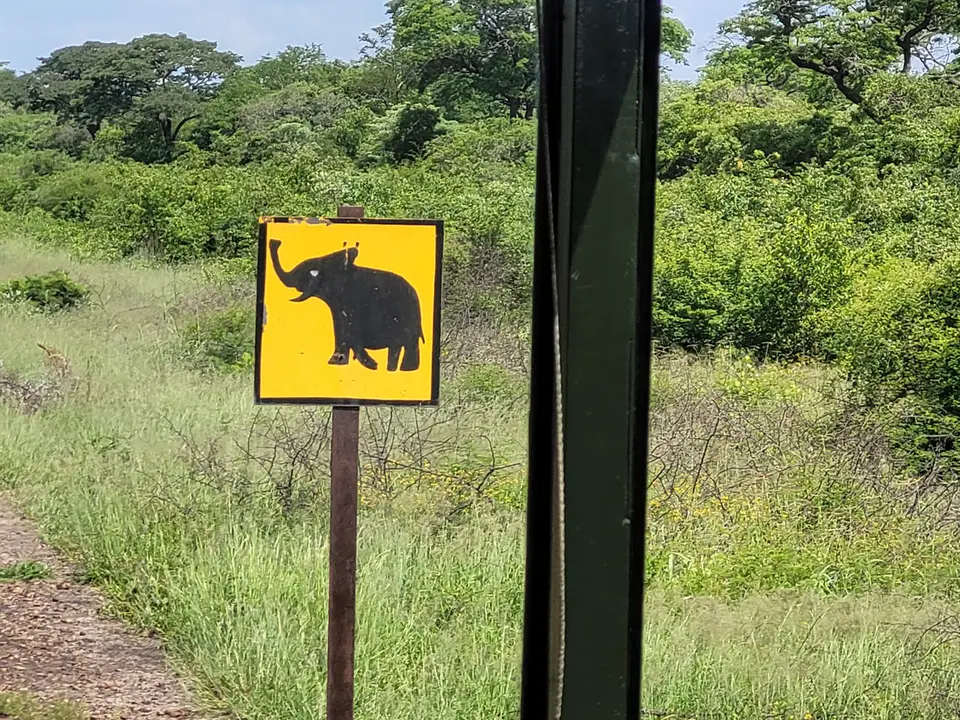 4TheElephantExpress.jpg