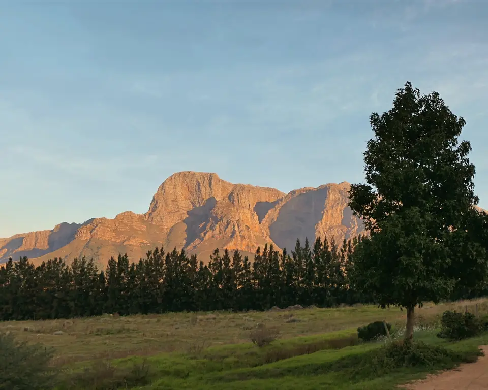 6Boschendal.jpg