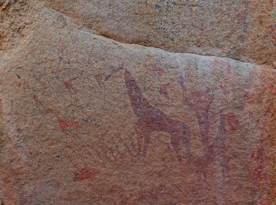 P1130810.jpg