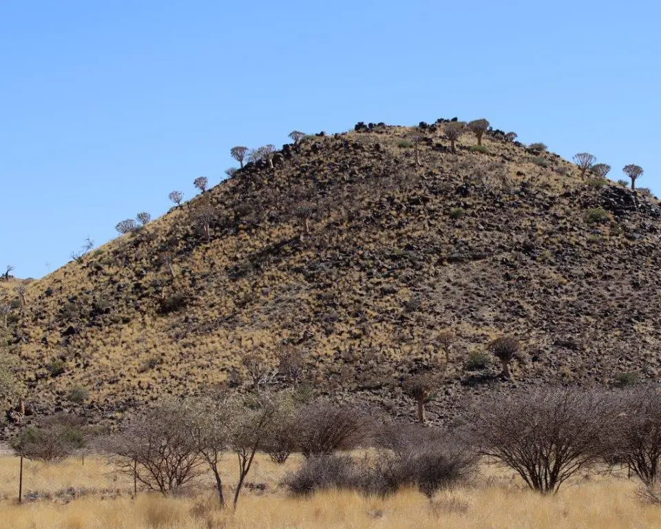 LandschaftRichtungKoes.jpg