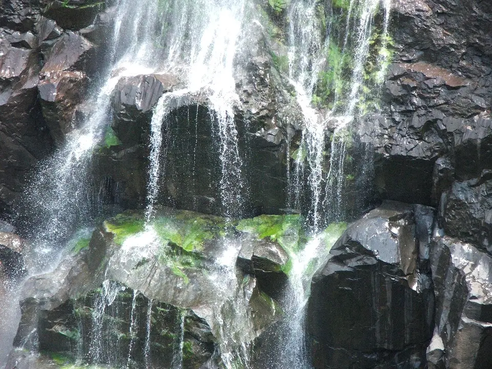 DSCF0342.JPG