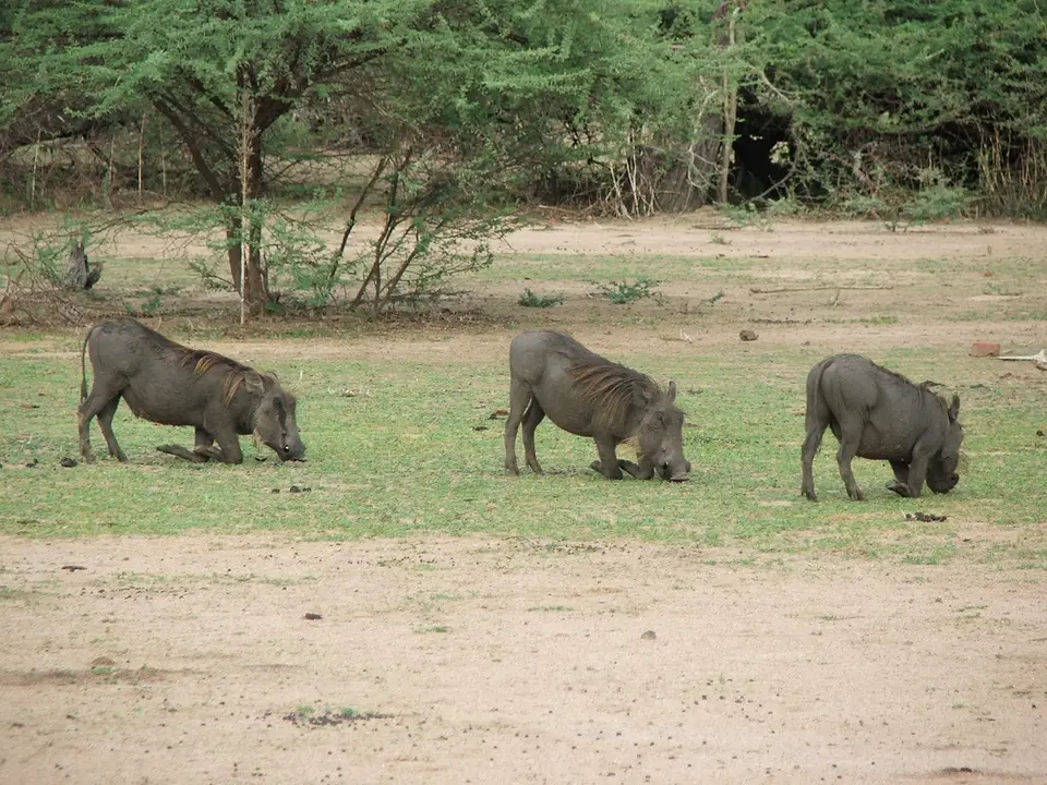 DSCF0570.JPG