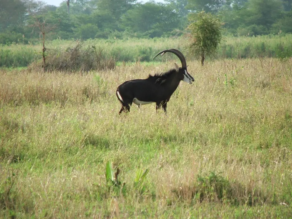 DSCF0576.JPG