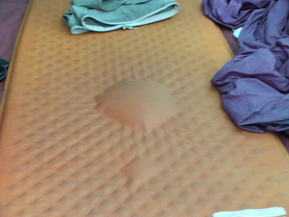 DSCF0736.JPG