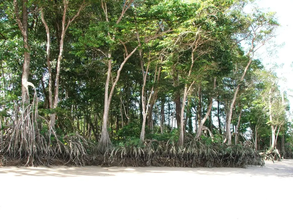 DSCF1014.JPG