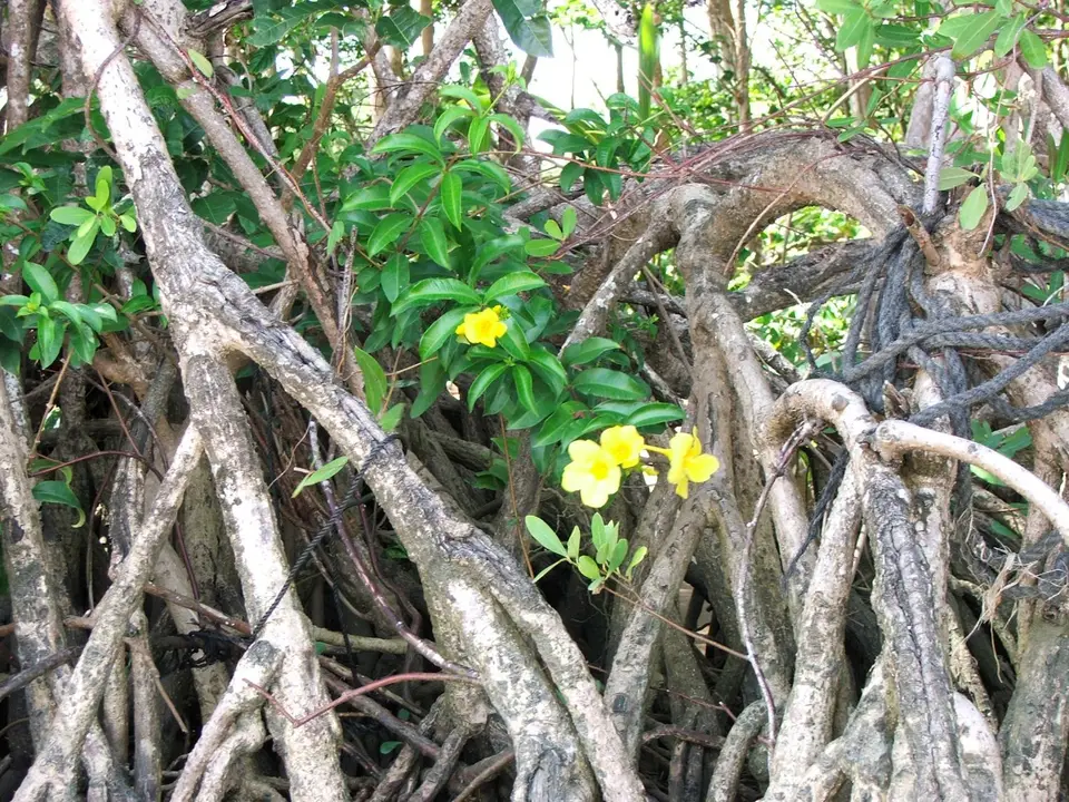 DSCF1015.JPG