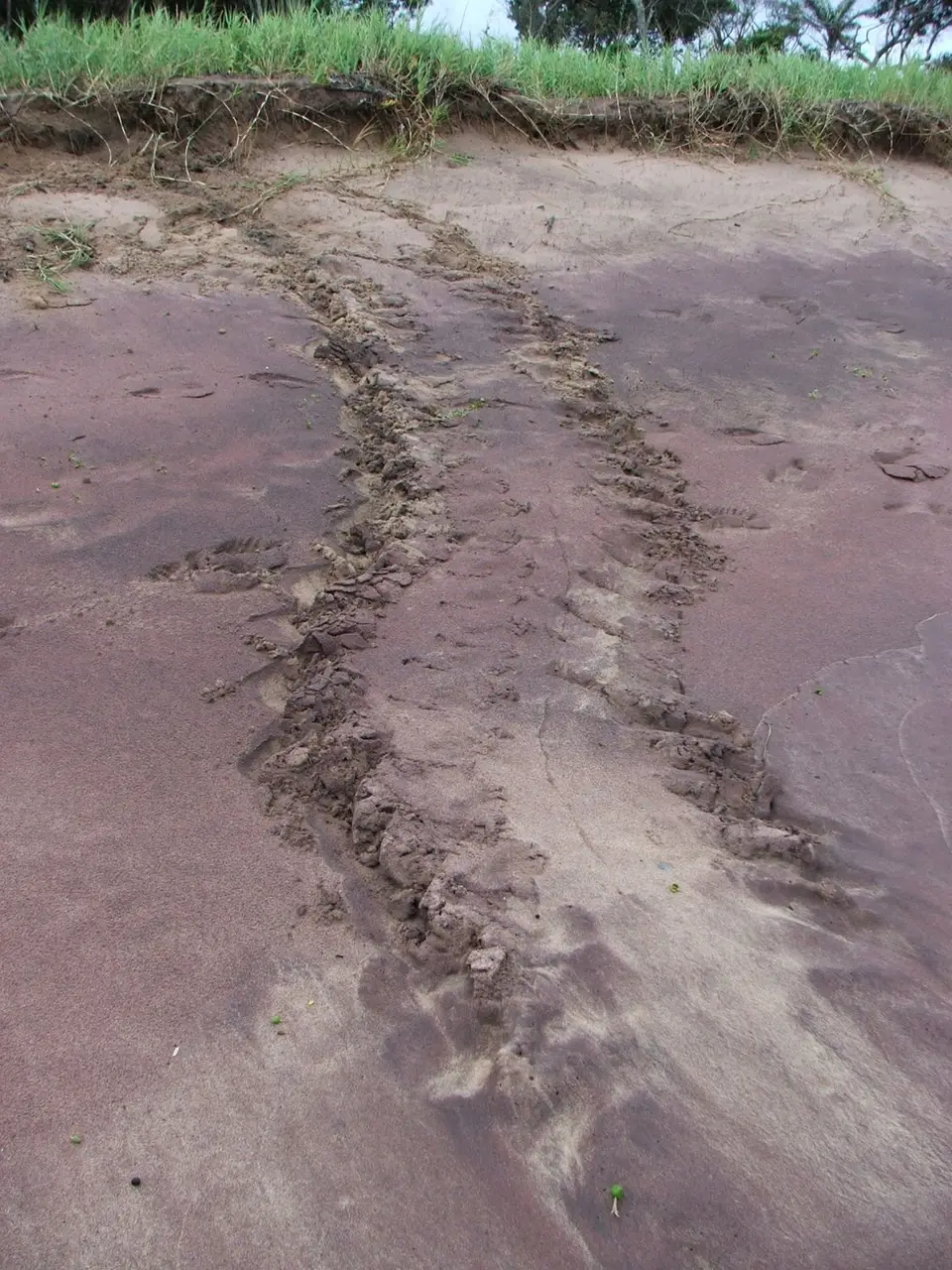 DSCF1044.JPG