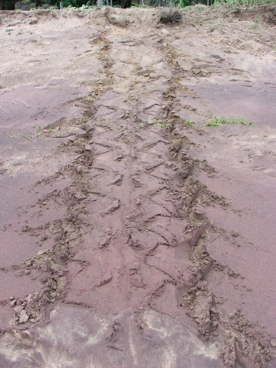 DSCF1045.JPG
