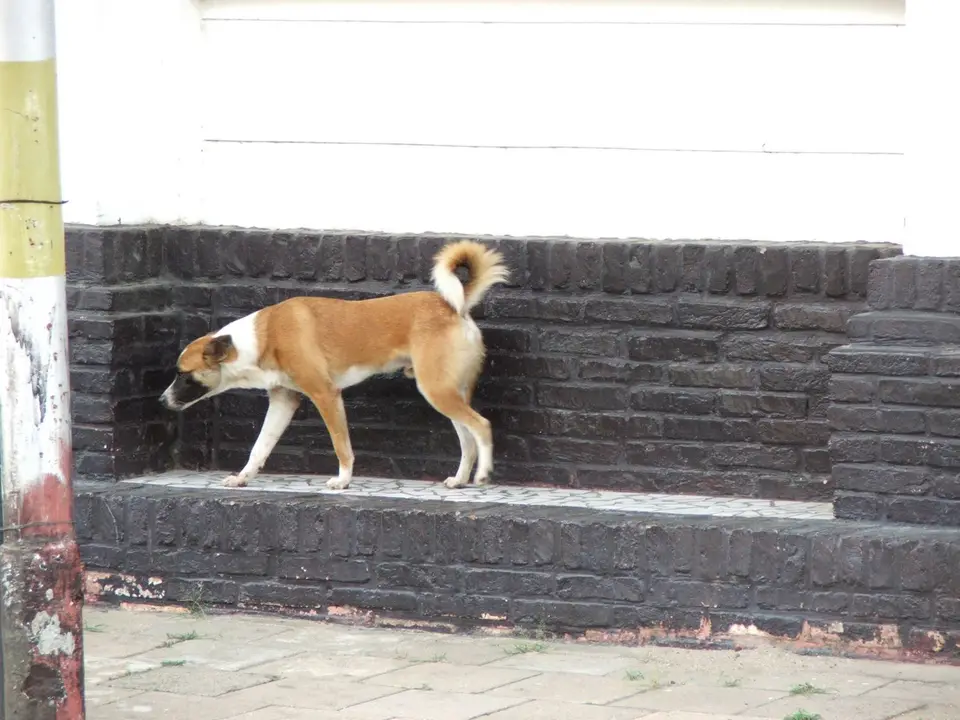 DSCF1086.JPG
