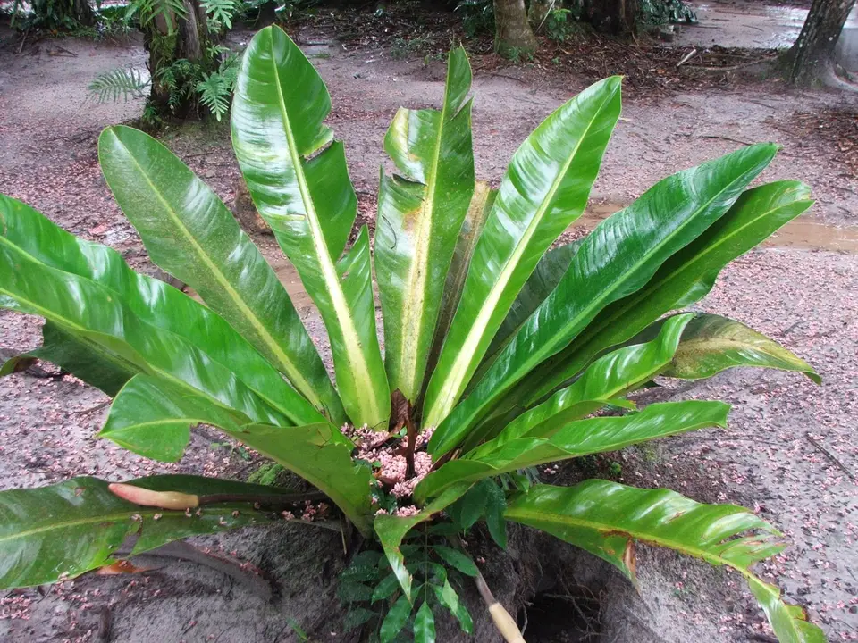 DSCF1147.JPG