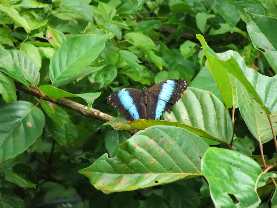 DSCF1154.JPG
