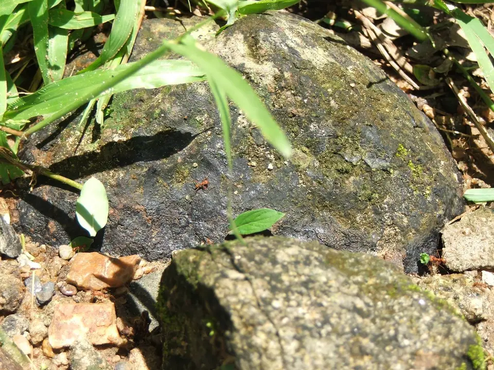 DSCF1202.JPG