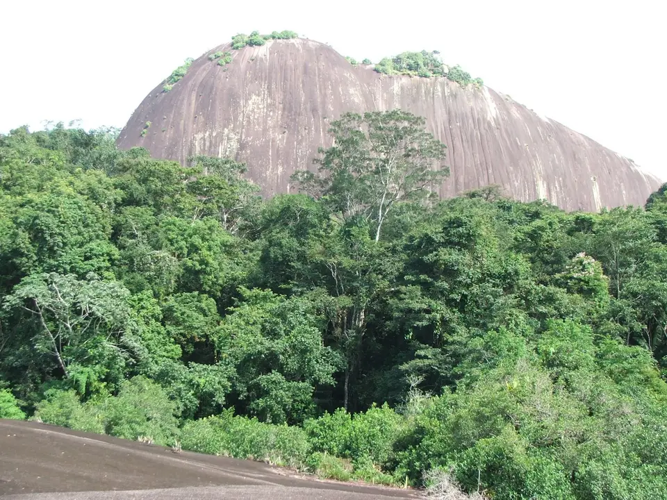 DSCF1234.JPG