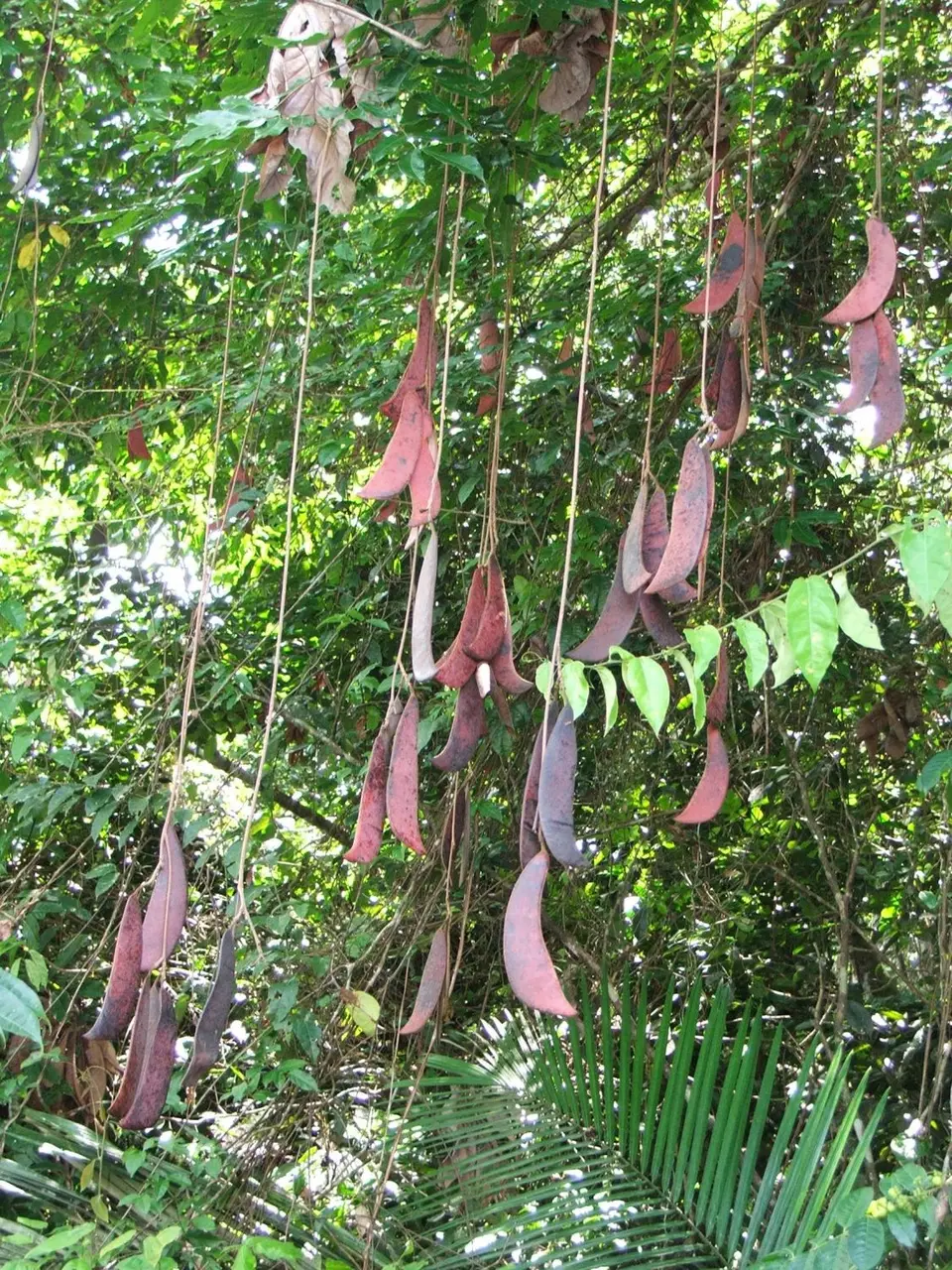 DSCF1256.JPG