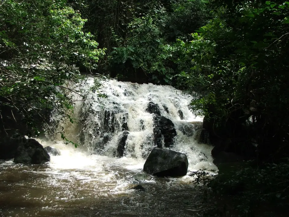 DSCF1264.JPG