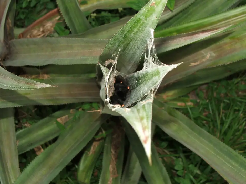DSCF1284.JPG