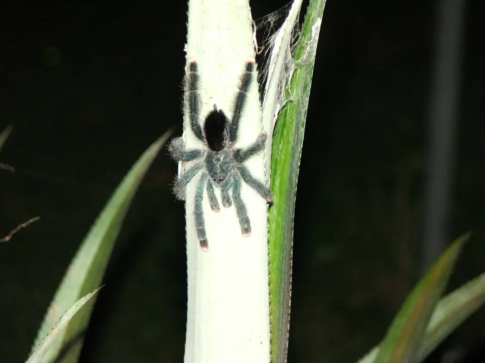 DSCF1296.JPG