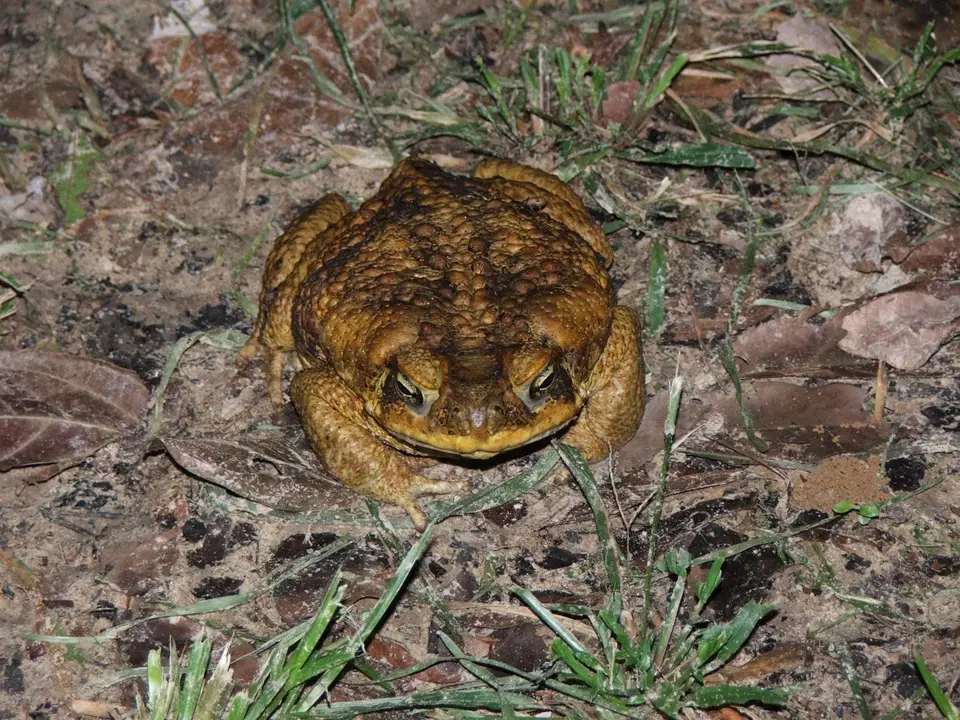 DSCF1300.JPG